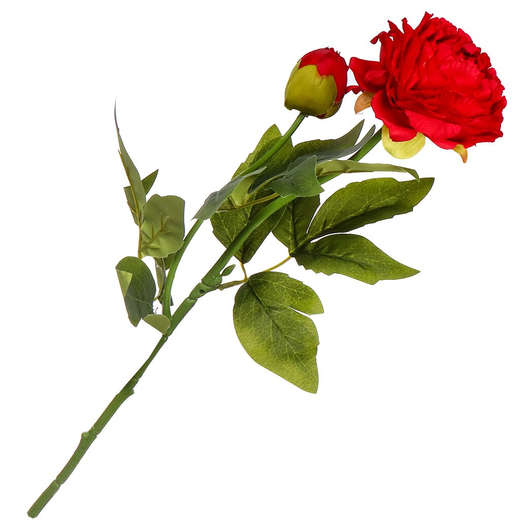 Цветы Пион красный 60см Y4-6933