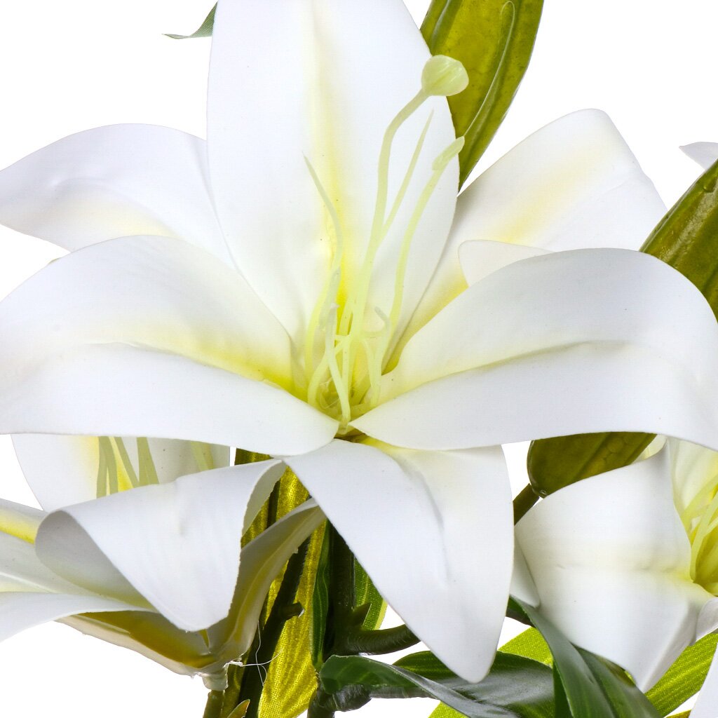 Цветы Лилия 57см белый Y4-6931