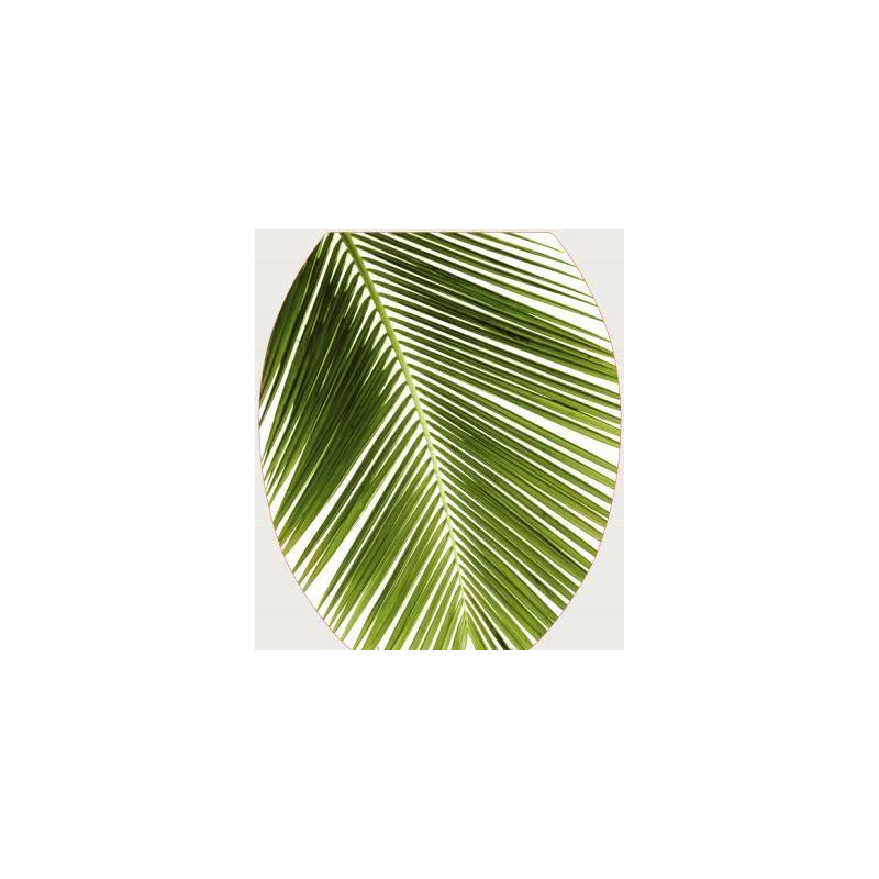 Сиденье для унитаза Универсал Декор пальма