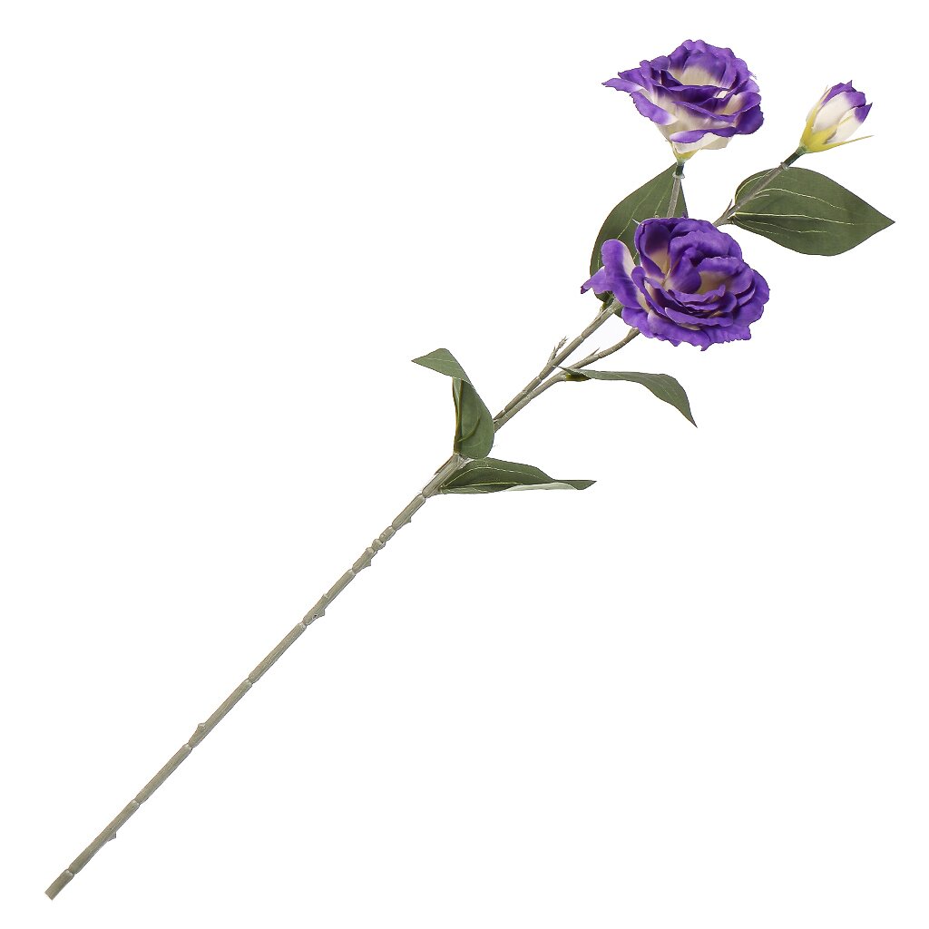 Цветы Эустома декоративная 63см фиолетовый Y4-7950